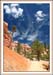 Bryce Canyon 10